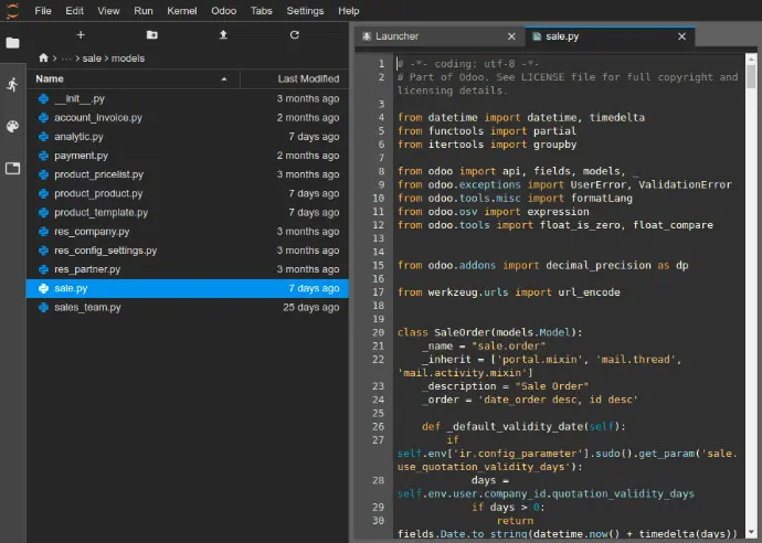 Maintenance &amp; support de votre base de données Odoo